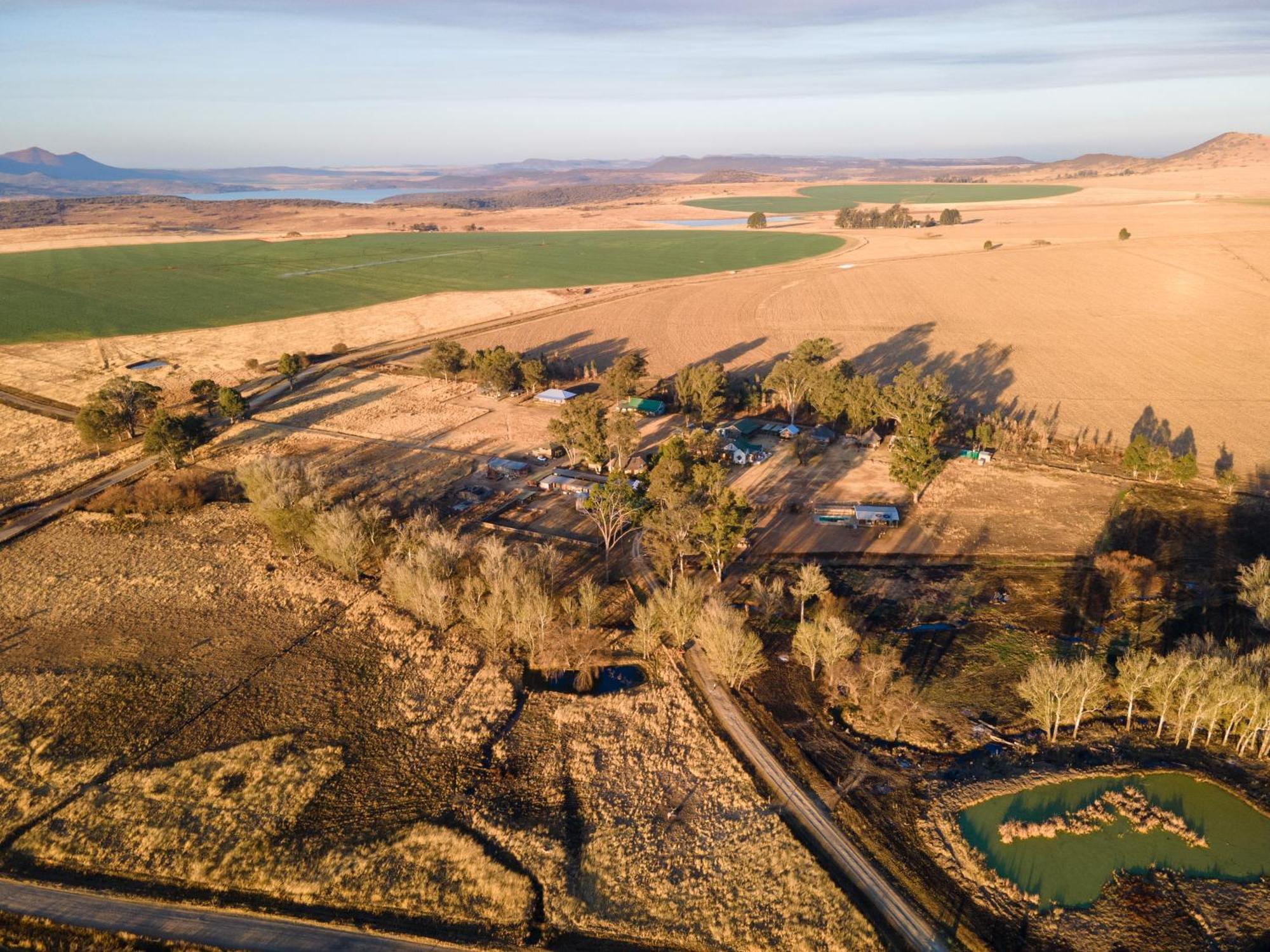 Dalmore Guest Farm Bergville Ngoại thất bức ảnh